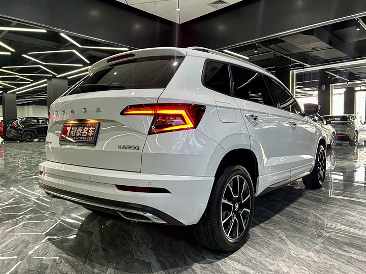 Skoda Karoq, 2024 — фото 5 из 9