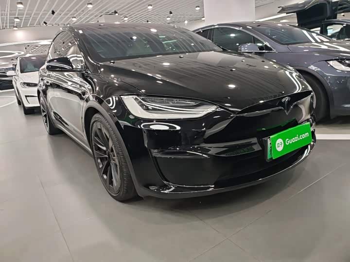 Tesla Model X, 2023 — фото 4 из 9