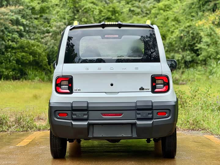 Geely Galaxy Panda Mini, 2024 — фото 5 из 9