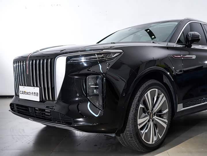 Hongqi E-HS9, 2023 — фото 4 из 9