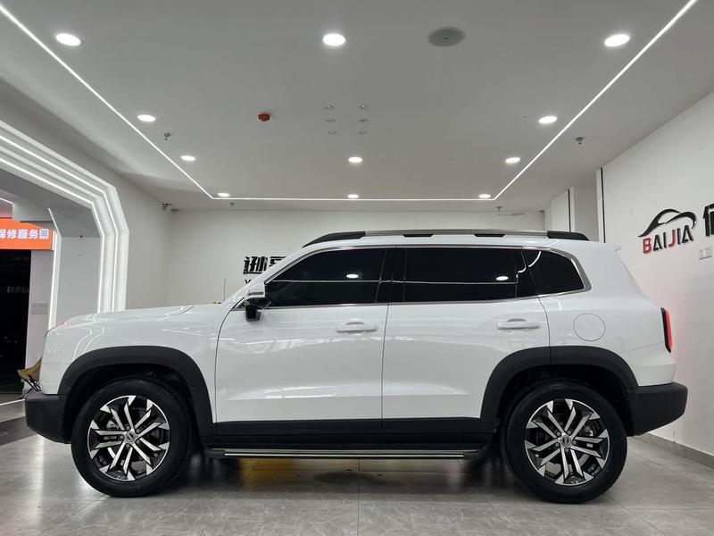 Haval Dargo, 2023 — фото 4 из 12