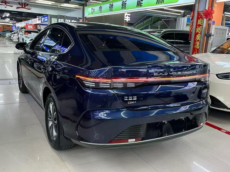 BYD Destroyer 05, 2024 — фото 4 из 10
