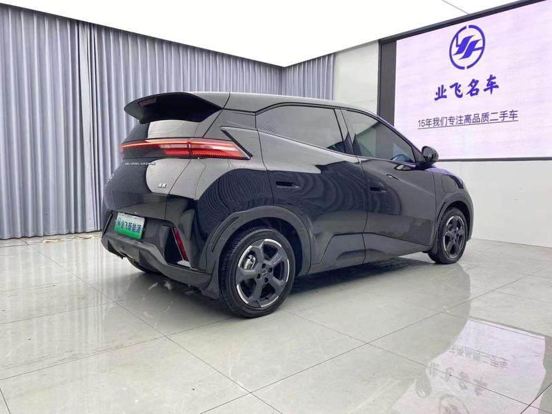 BYD Seagull, 2024 — фото 6 из 12