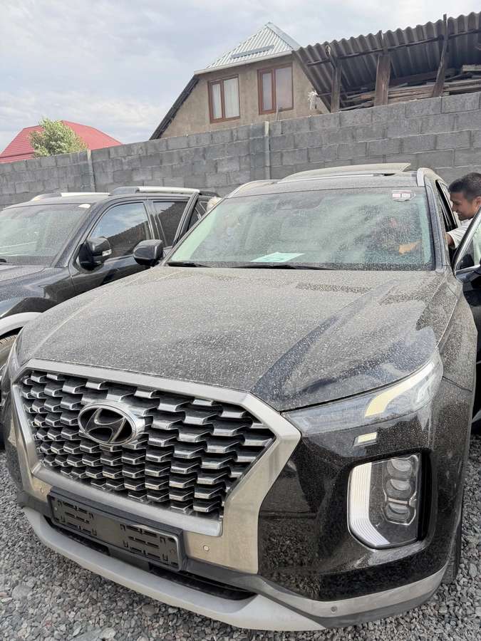 Hyundai Palisade, 2022