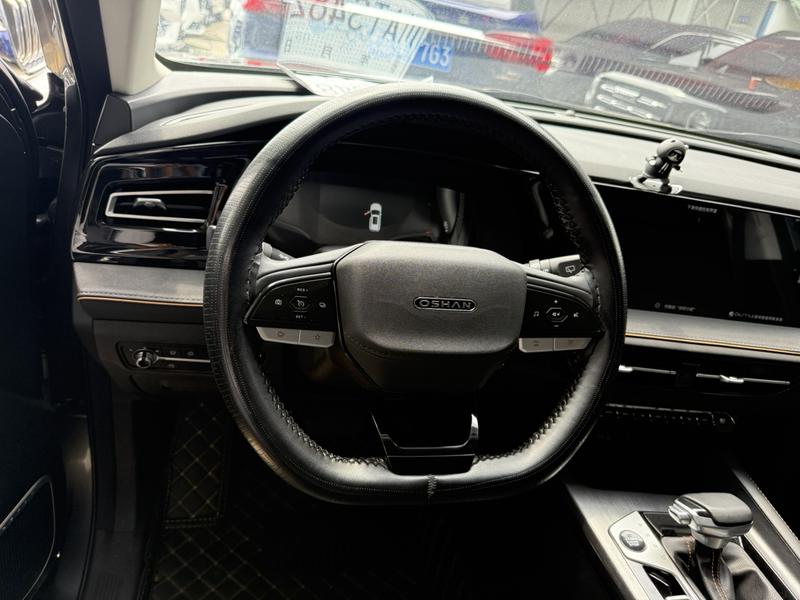 Changan Oshan X7 Plus, 2023 — фото 5 из 9