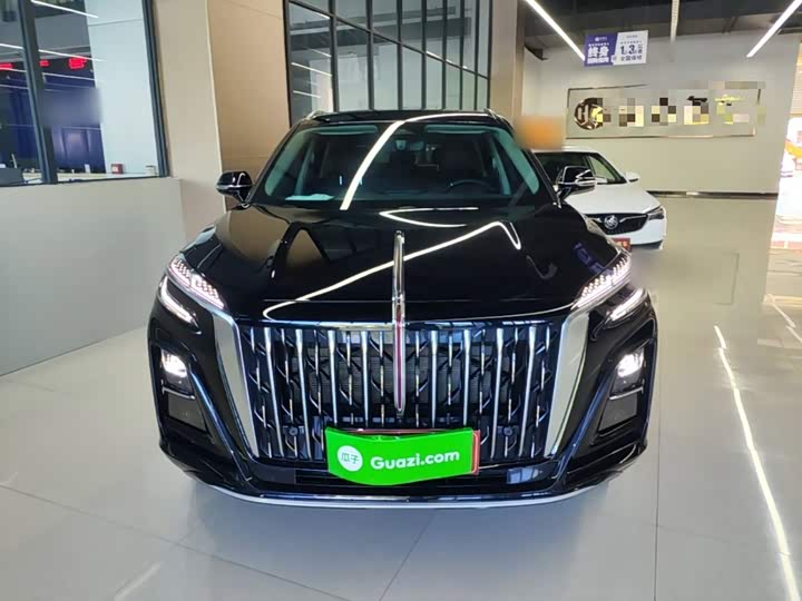 Hongqi HS3 Hybrid, 2025 — фото 3 из 9