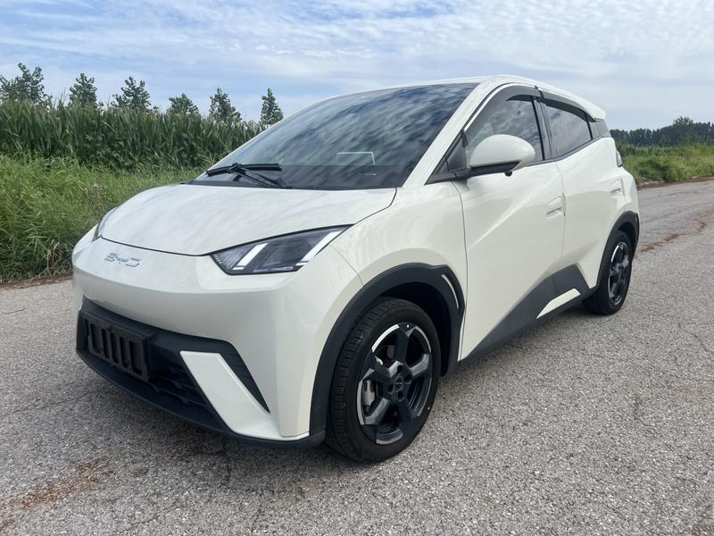 BYD Seagull, 2023 — купить в Санкт-Петербурге под ключ