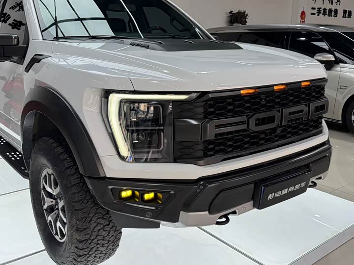Ford F-150 Raptor, 2024 — фото 4 из 9