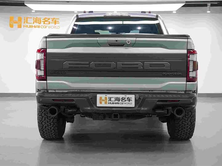 Ford F-150 Raptor, 2023 — фото 9 из 9