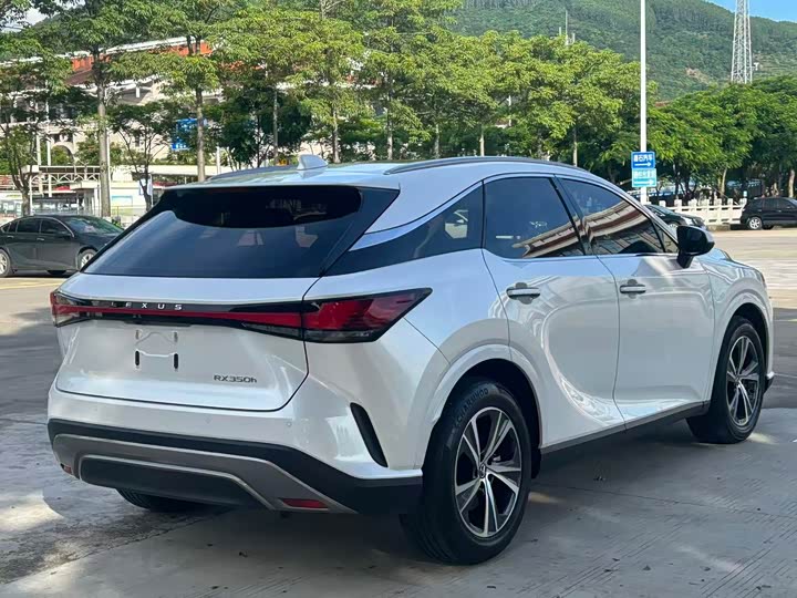 Lexus RX, 2023 — фото 7 из 9