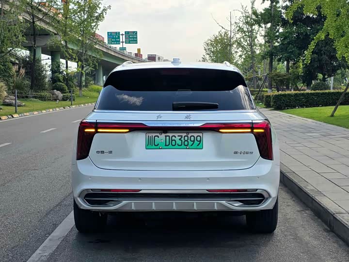 Hongqi E-HS9, 2022 — фото 6 из 9