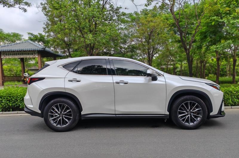 Lexus NX, 2022 — фото 8 из 12