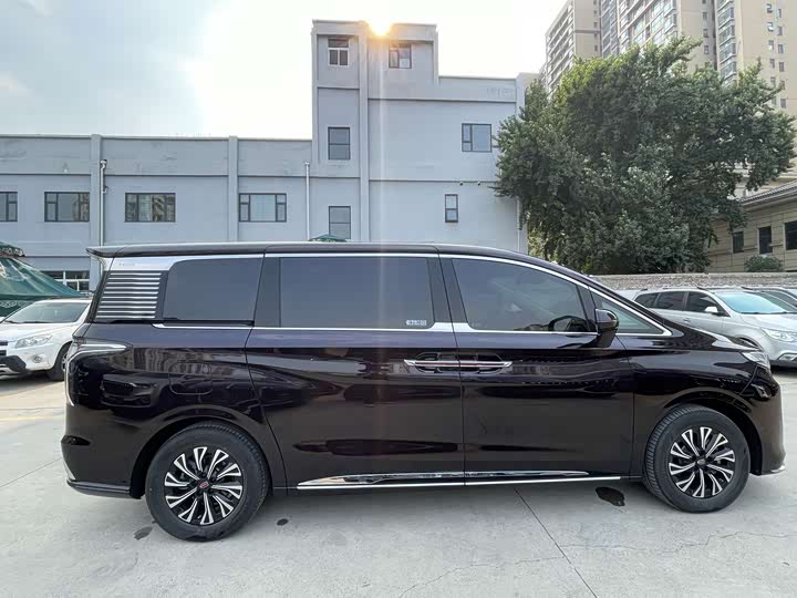 Hongqi HQ9 Hybrid, 2025 — фото 6 из 9