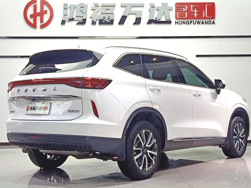 Haval H6, 2021 — фото 7 из 12