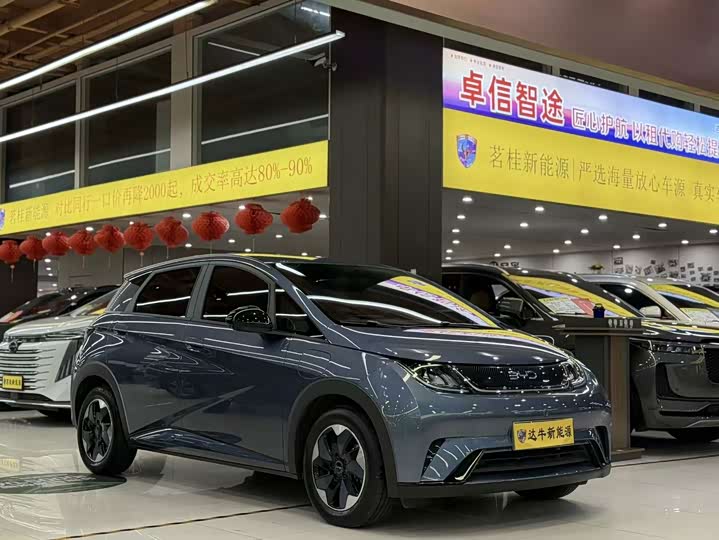 BYD Dolphin, 2025 — фото 3 из 9