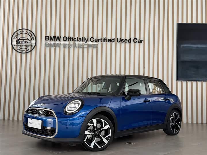 Mini Mini, 2024 — купить в Брянске под ключ