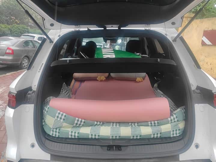BYD Song Pro Hybrid, 2025 — фото 4 из 9