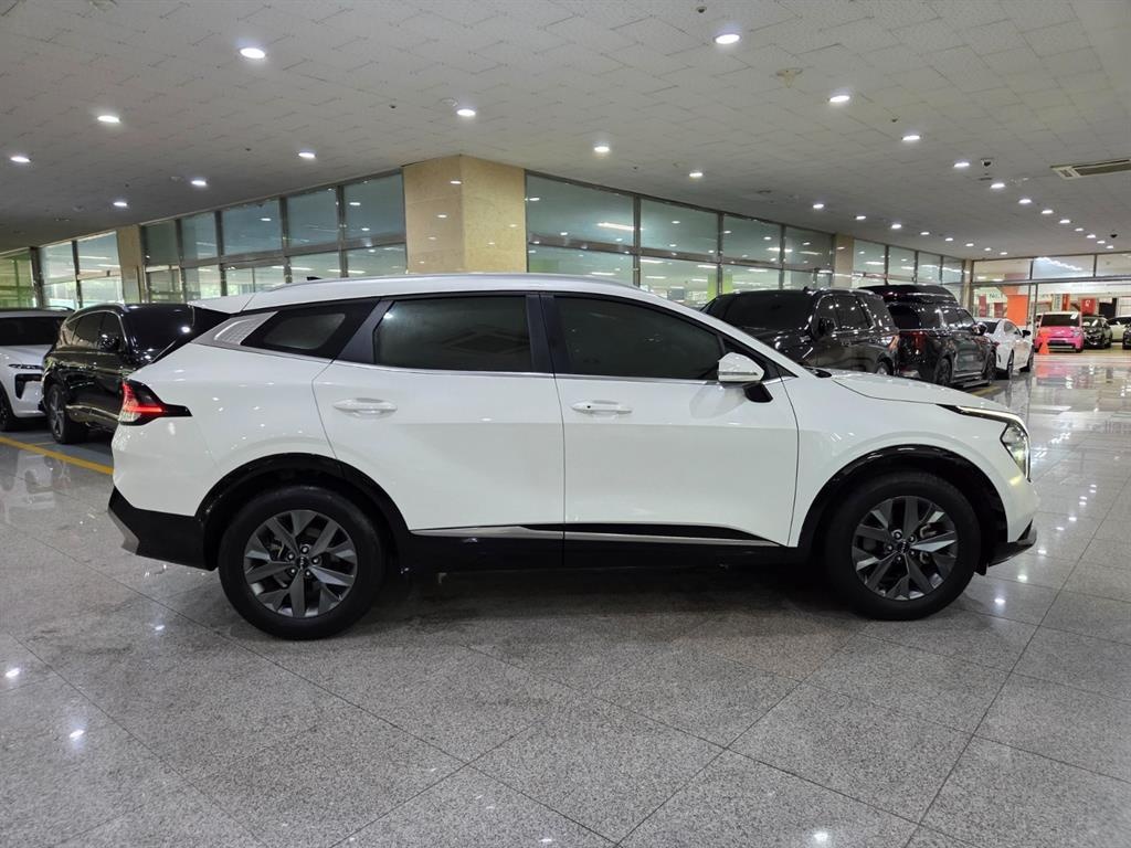 Kia Sportage, 2024 — фото 5 из 12