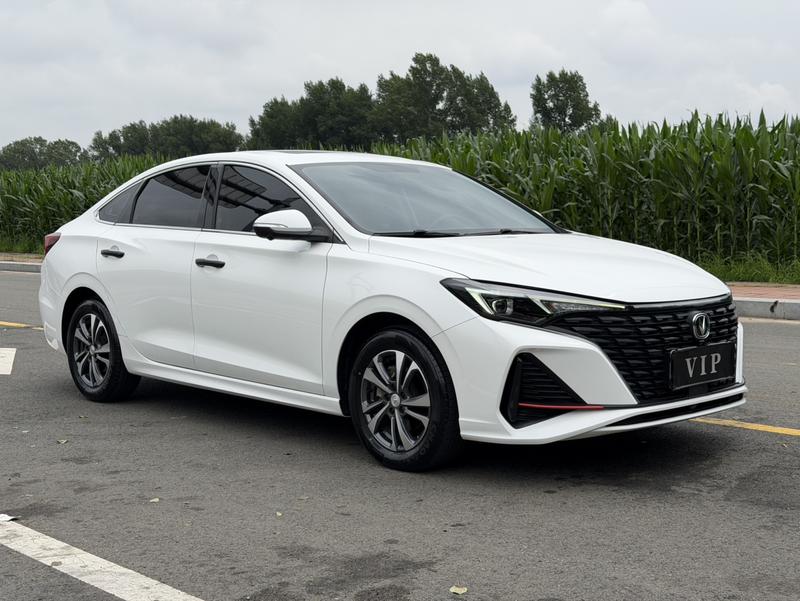 Changan Eado Plus, 2023 — фото 3 из 10