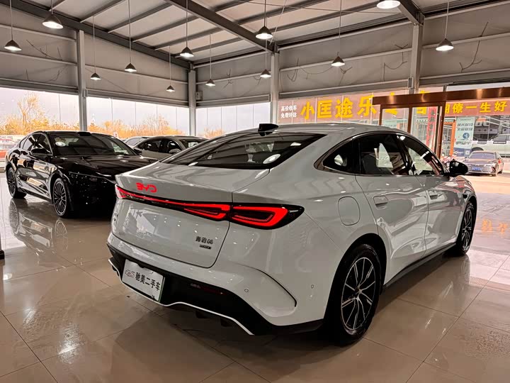 BYD Seal 06 Hybrid/EV, 2024 — фото 4 из 9
