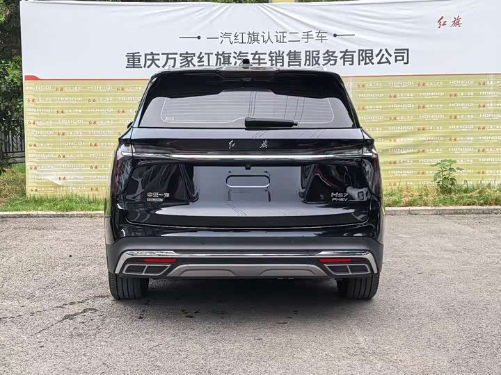 Hongqi HS7 Hybrid, 2024 — фото 8 из 9
