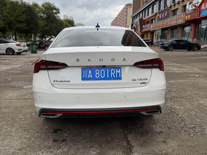 Skoda Octavia Pro, 2022 — фото 5 из 9