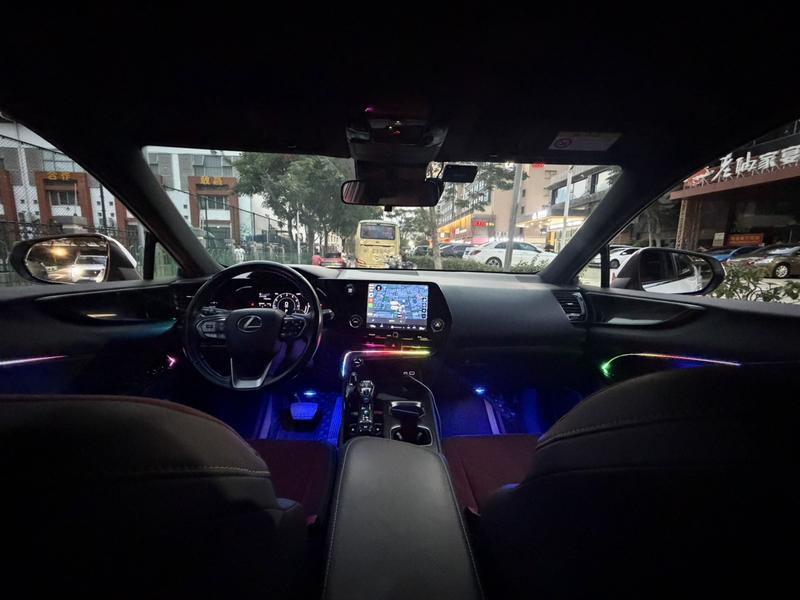 Lexus NX, 2022 — фото 7 из 11