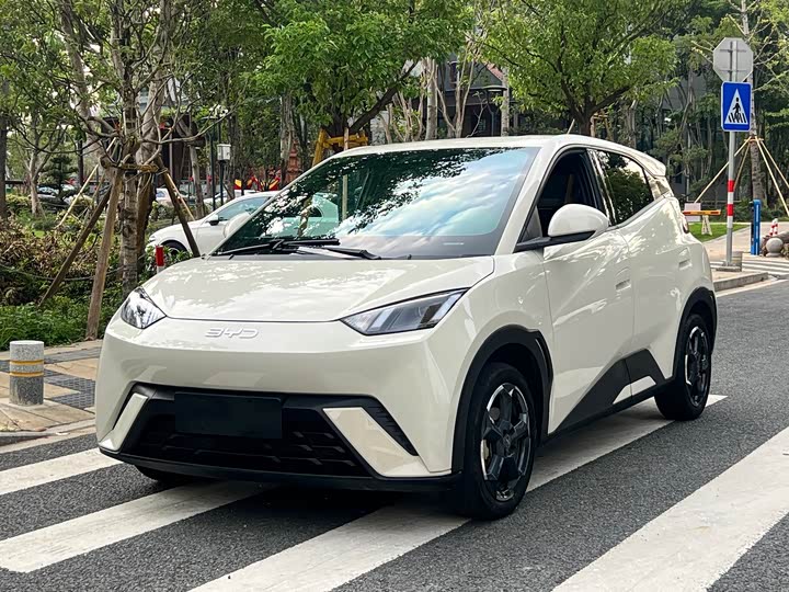BYD Seagull, 2024 — купить в Чебоксарах под ключ