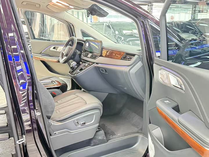 Hongqi HQ9 Hybrid, 2025 — фото 9 из 9