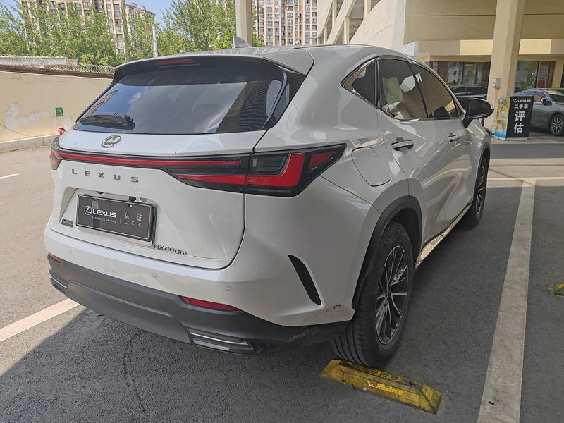 Lexus NX Hybrid, 2024 — фото 2 из 8