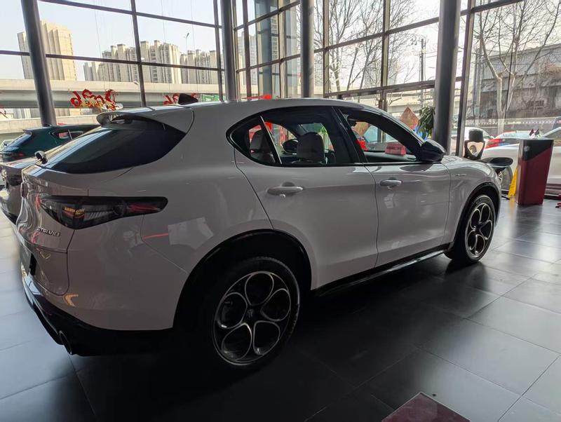 Alfa Romeo Stelvio, 2023 — фото 6 из 12