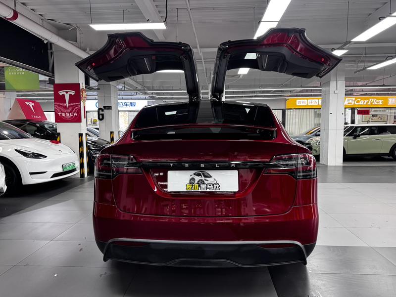 Tesla Model X, 2023 — фото 5 из 10