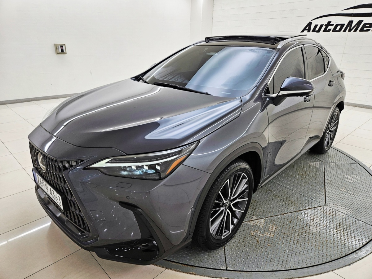 Lexus NX, 2023 — фото 2 из 12
