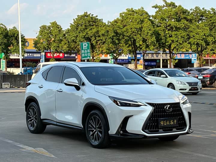 Lexus NX, 2024 — фото 3 из 9