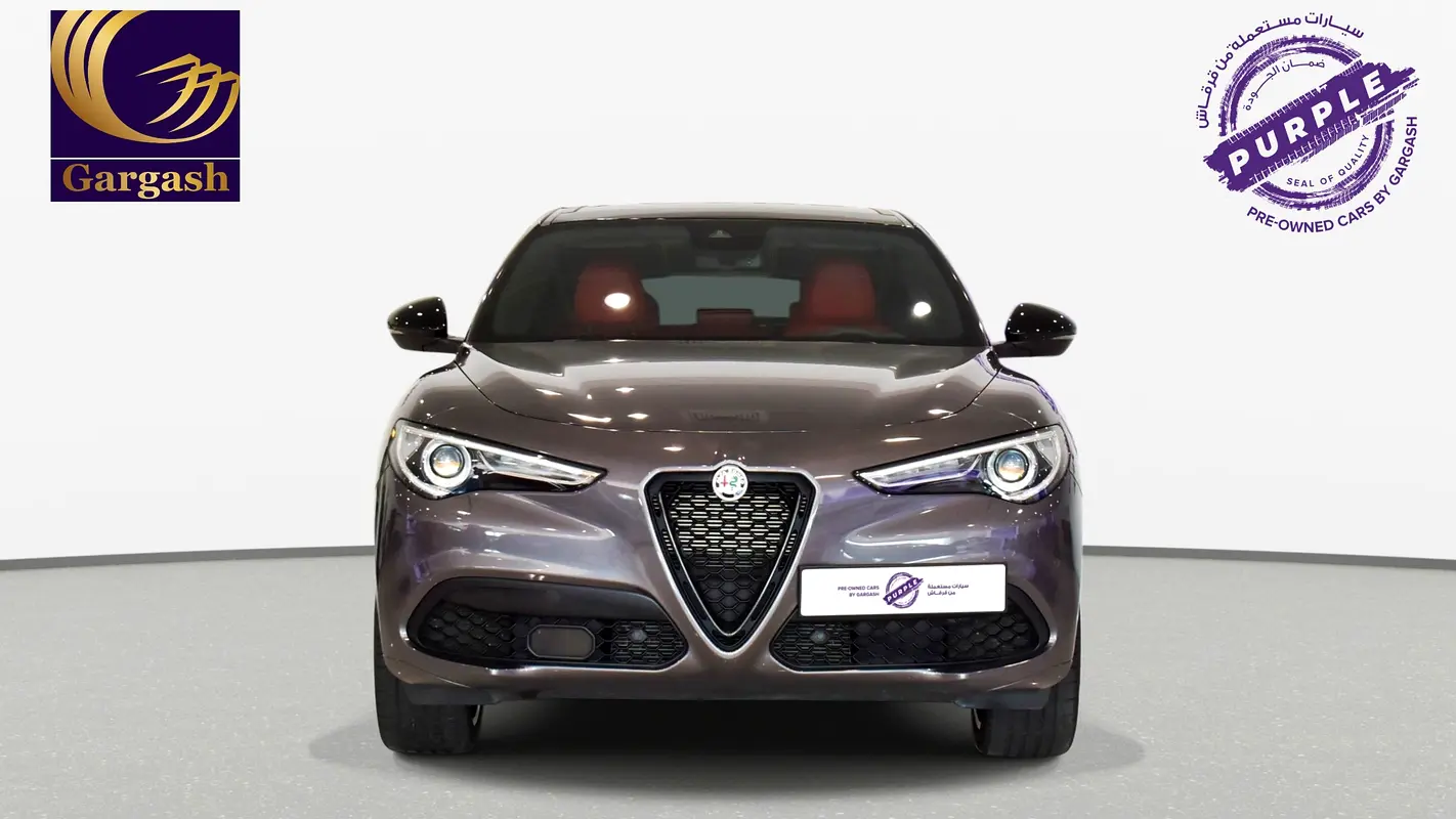 Alfa Romeo Stelvio, 2022 — фото 2 из 10