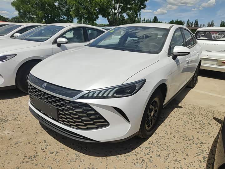 BYD Qin Plus, 2026 — купить в Липецке под ключ