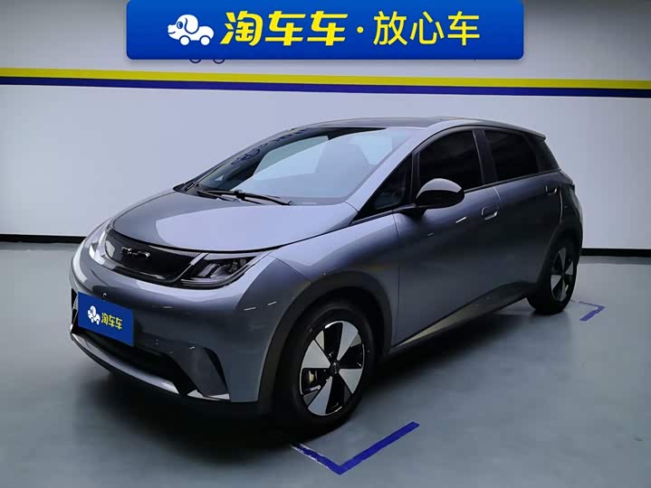 BYD Dolphin, 2024 — купить в Тамбове под ключ