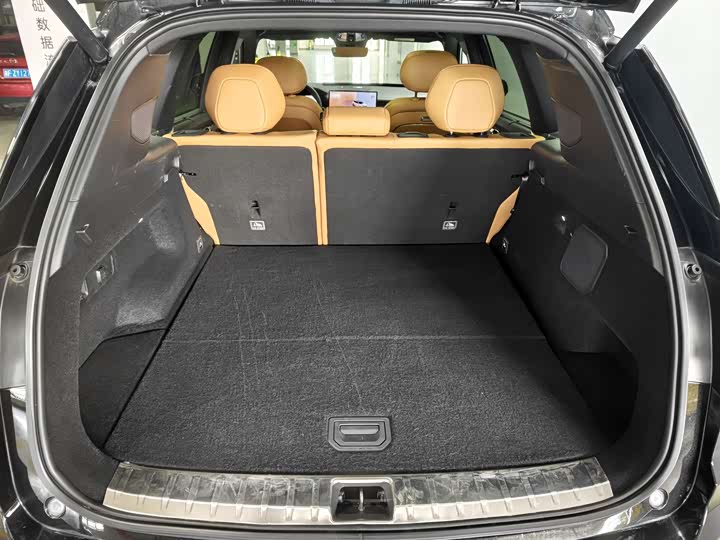 Lynk & Co 09 EM-P Hybrid, 2025 — фото 3 из 9