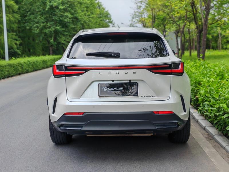 Lexus NX, 2022 — фото 6 из 12