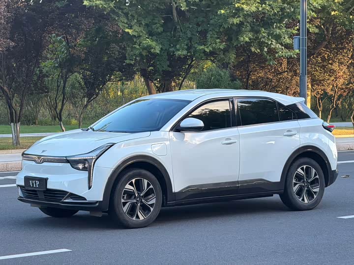 Hozon U, 2023 — купить в Пензе под ключ