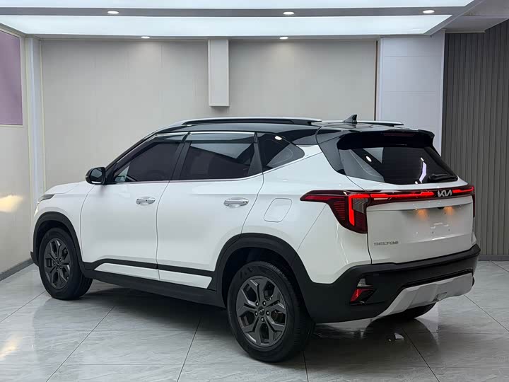 Kia Seltos, 2024 — фото 6 из 9