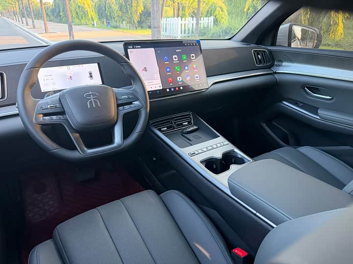 BYD Song Pro Hybrid, 2026 — фото 8 из 9