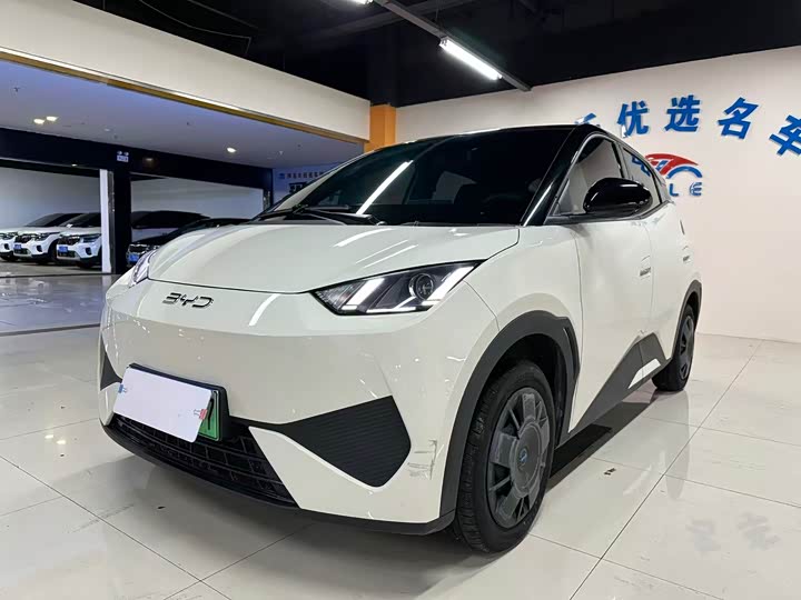 BYD Seagull, 2025 — купить в Казани под ключ