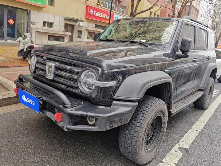 Tank 300, 2024 — купить в Перми под ключ