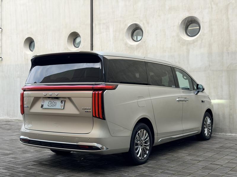 Wey 80 Hybrid, 2025 — фото 7 из 12