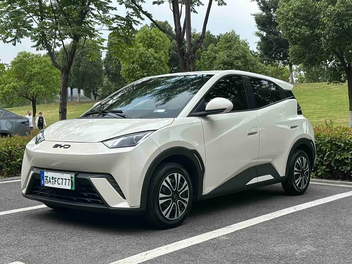 BYD Seagull, 2024 — купить в Кирове под ключ