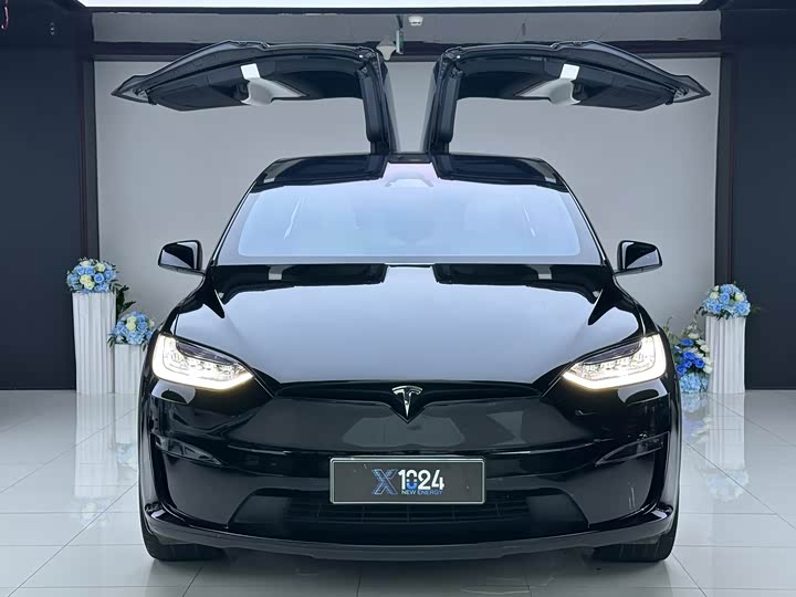 Tesla Model X, 2023 — фото 2 из 9
