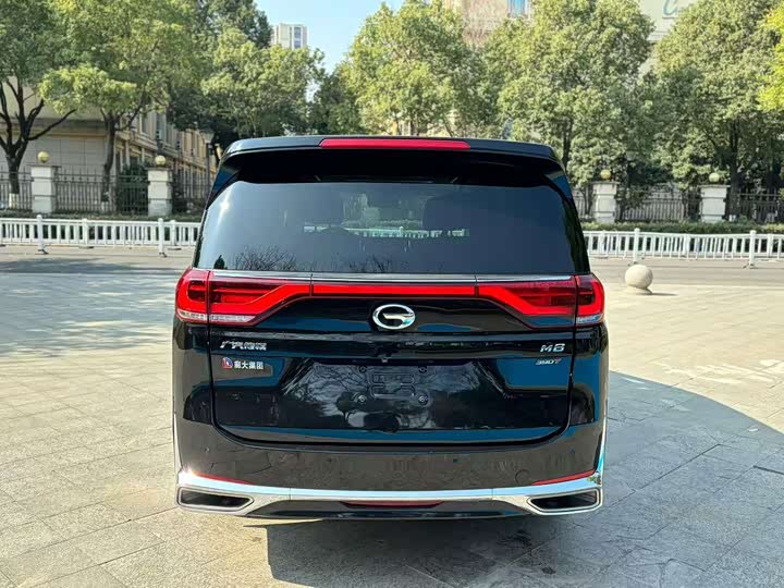 GAC Trumpchi M8, 2021 — фото 8 из 9