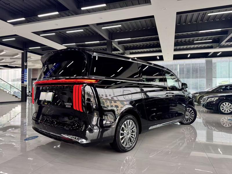 Wey 80 Hybrid, 2025 — фото 6 из 8