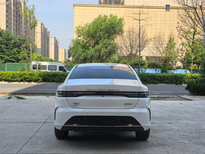 BYD Destroyer 05, 2025 — фото 5 из 11